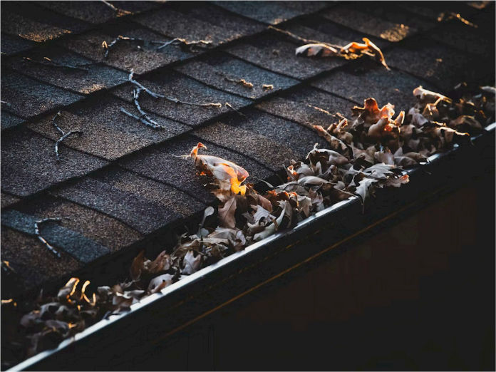 Gutters filled with leaves